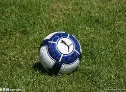 揭秘申花失,冠真相,足球大咖犀,PA,真人娱乐官方网站,真人视频娱乐场,PAGaming