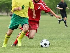 阿森纳雄心,勃勃,不仅英超霸,PA,真人娱乐官方网站,真人视频娱乐场,PAGaming