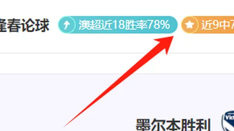 赵丽娜在论坛上讲述足球公益之旅