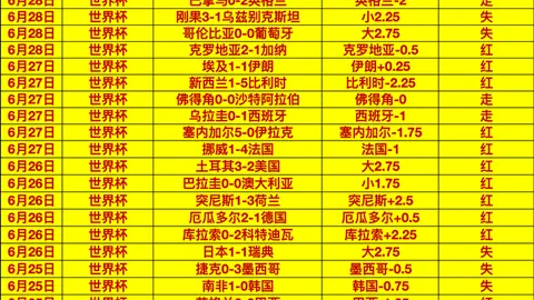 真人 145016 9