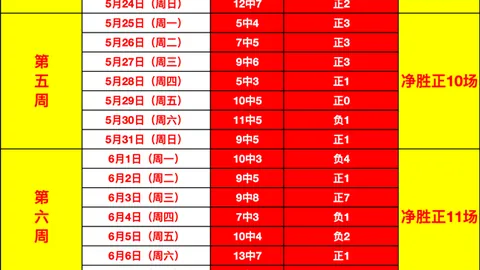 真人 150355 1